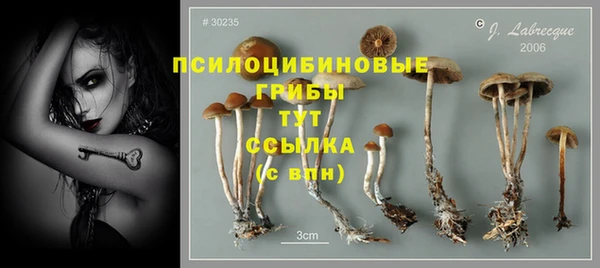 кокаин премиум Куртамыш