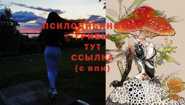 MDMA Костерёво